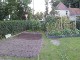 Garten 2017