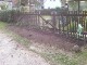 Garten 2017
