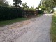 Garten 2017