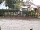 Garten 2017