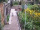 Garten 2017