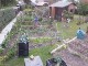 Garten 2017