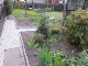 Garten 2017