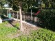 Garten 2017