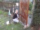 Garten 2017