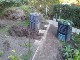Garten 2017