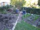 Garten 2017