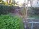 Garten 2017