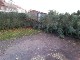 Garten 2017
