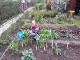 Garten 2017