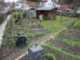 Garten 2018