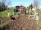 Garten 2018