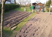 Garten 2019