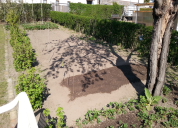 Garten 2019