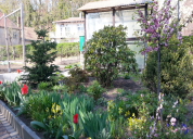 Garten 2019