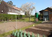 Garten 2019
