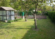 Garten 2019