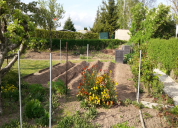 Garten 2019