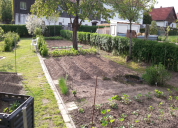 Garten 2019