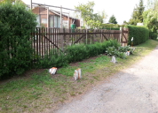 Garten 2019
