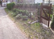Garten 2019