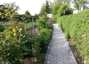 Garten 2019