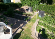 Garten 2019