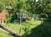 Garten 2019