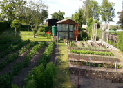 Garten 2019