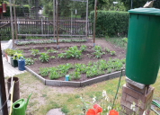Garten 2019