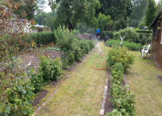 Garten 2019