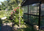 Garten 2019