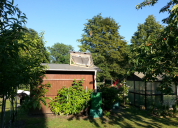Garten 2019