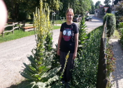 Garten 2019