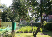 Garten 2019