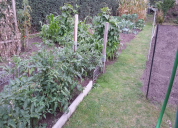Garten 2019