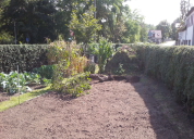 Garten 2019