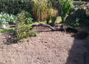 Garten 2019