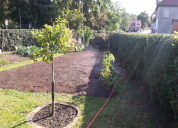 Garten 2019