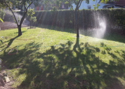 Garten 2019