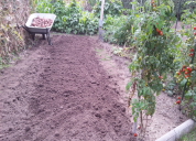 Garten 2019