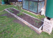 Garten 2019