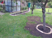 Garten 2019