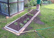 Garten 2019