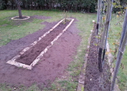 Garten 2019