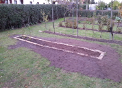 Garten 2019