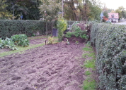 Garten 2019