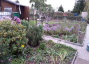 Garten 2019