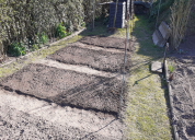 Garten 2020