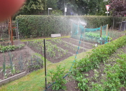 Garten 2020